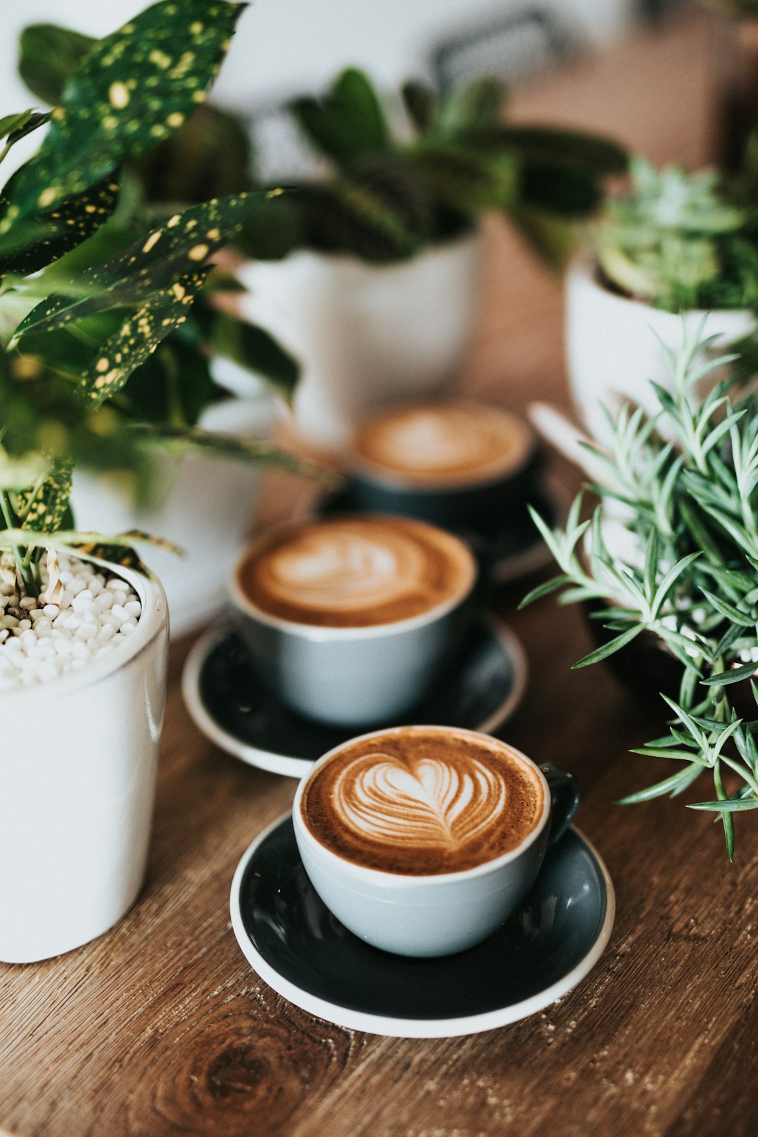 Cappuccini serviti al tavolo